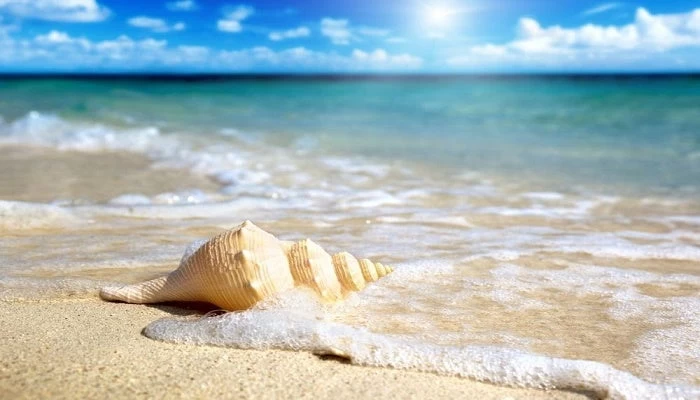 Τι συμβαίνει στο σώμα σου όταν βουτάς σε παγωμένη θάλασσα